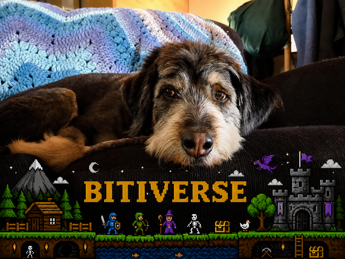A relaxed shaggy dog above a handmade Bitiverse pixel-art landscape