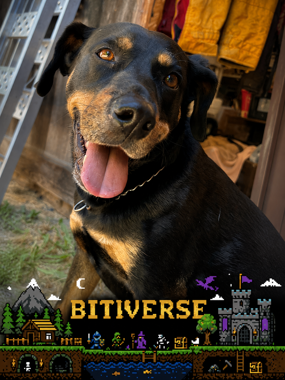 A smiling black-and-tan dog above a handmade Bitiverse pixel-art landscape